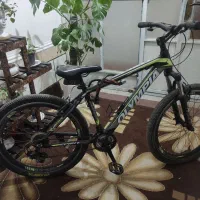 دوچرخه ۲۶ المپیا، دنده ای