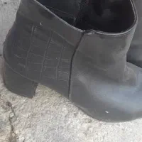 نیم بوت زنانه|کیف، کفش، کمربند|ماکو, |دیوار