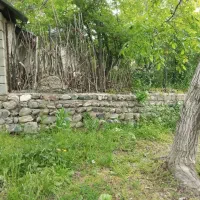 فروش باغ در شهرستان طالقان