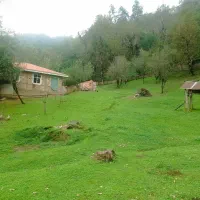 زمین مسکونی پلاک اول جنگل  ماسال|فروش زمین و ملک کلنگی|صومعه‌سرا, |دیوار