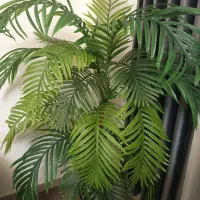 گل کنتیا نو|گل مصنوعی|تهران, جوادیه تهرانپارس|دیوار