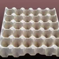 صفحه تخم مرغ