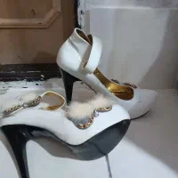 کفش مجلسی