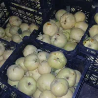به درجه یک