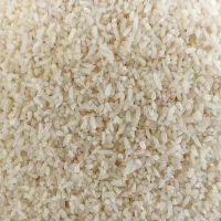 نیم دانه هاشمی سورتینگ|خوردنی و آشامیدنی|کوچصفهان, |دیوار