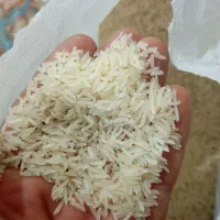 برنج فجر سوزنی