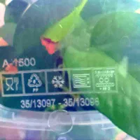 ظروف نگهدارنده|ظروف نگهدارنده، پلاستیکی، یکبارمصرف|بندرعباس, |دیوار