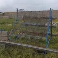 قفس منبری ۹۶عددی