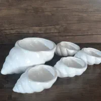 اجیل خوری هفت عدد