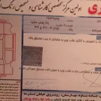 راناپلاس مدل1401