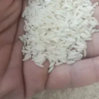 برنج هاشمی درجه یک