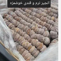 پرکاشن انجیل سالم تمیز بشرط ۱۸۰ زیت‌وون ۱۳۰ تومن