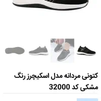 کفش کتونی نو|کیف، کفش، کمربند|قم, باغ کرباسی|دیوار