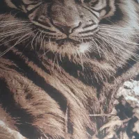 فرش ۶ متری اتاق نوجوان و جوان