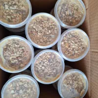 شیره خرما،انگور،توت،انجیر،3شیره|خوردنی و آشامیدنی|تهران, خاوران|دیوار