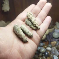 مهره عرج اصل