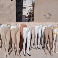 مانکن پا و مانکن کامل بدن زنانه