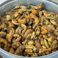 غذای خونگی