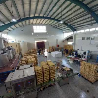 استخدام نیروی کار بسته بندی مواد غذایی