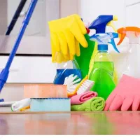 نظافت خدماتی