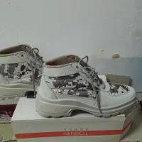 کفش همه کاره