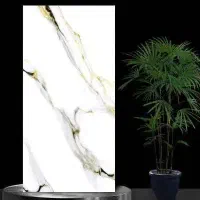 کاشی پشت قرمز درجه دو