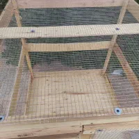 قفس پرنده|لوازم جانبی حیوانات|بم, |دیوار