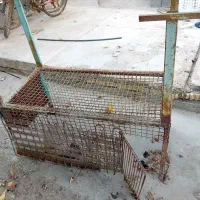 درب لونه پرنده ی با قفس|پرنده|میناب, |دیوار