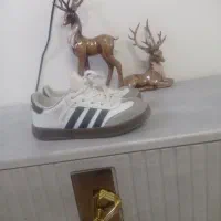 کتونی اورجینال بچه گانه