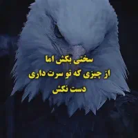 منشی خانم