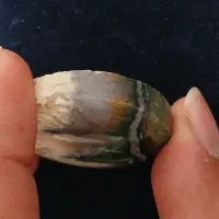 سنگ شجر تابلو نقاشی|کلکسیون اشیاء عتیقه|فسا, |دیوار