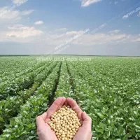 اجازه زمین کشاورزی