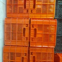 فروش سبداصلی ۲۰کیلویی میوه