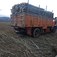 خرید چوب ودرخت