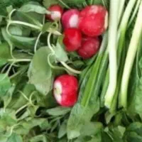 سبزی خورشتی،آش،دلمه