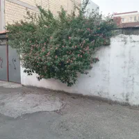 خانه ویلایی ۱۶۵ متری|فروش خانه و ویلا|رشت, شالکو|دیوار