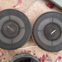 باند سناتور