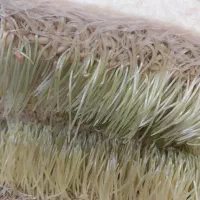 سمنو سنتی مریم بانو|خوردنی و آشامیدنی|پاکدشت, شهرک امام رضا|دیوار