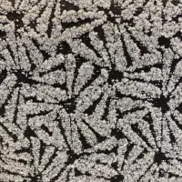 نیروی نظافت