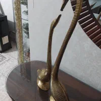 قو برنجی