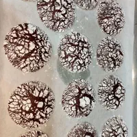 کوکی ترکدار