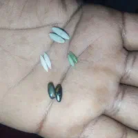 مهره برای فروش