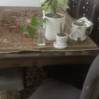 میز ناهارخوری ۶ نفره|میز و صندلی غذاخوری|پردیس, فاز ۱۱|دیوار