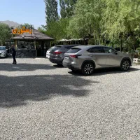 گارسون و ویتر