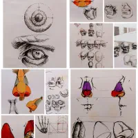 آموزش تخصصی نقاشی، طراحی و تصویرسازی