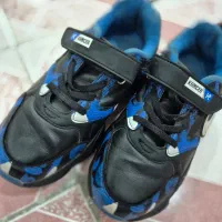 کفش|کیف، کفش، کمربند|دزفول, |دیوار