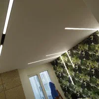 برقکاری پیشرو الکترونیک