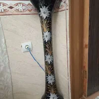 گل مصنوعی|گل مصنوعی|زنجان, |دیوار