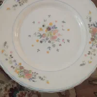 دو دست بشقاب