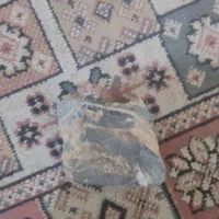 سنگ بسیار کمیاب که نام سنگ دردنیا و فقط در میبد